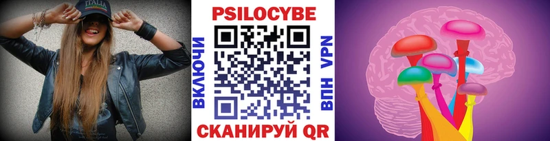 Псилоцибиновые грибы Cubensis  Ишим 