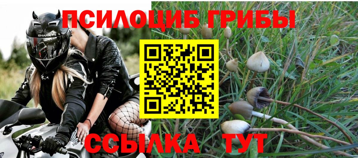 Псилоцибиновые грибы прущие грибы  Вход с VPN  Ишим  Псилоцибиновые грибы Cubensis 